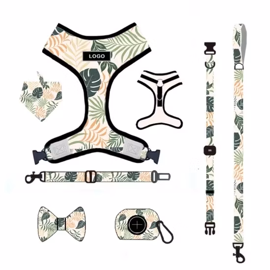 Todos os tipos de conjuntos completos de design para cães/animais de estimação Preço de fábrica/Produtos Elite